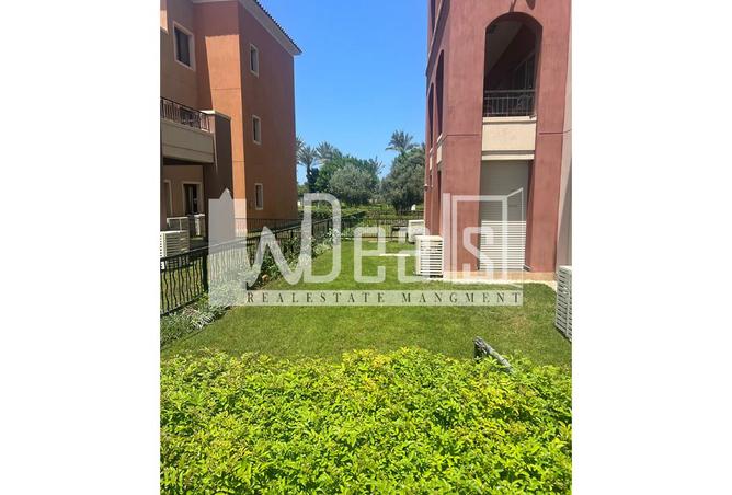 8199603 - Property Image 2