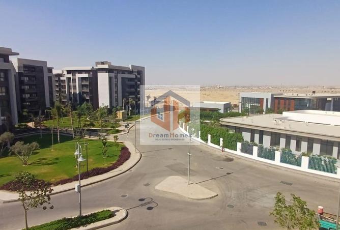 8050224 - Property Image 3