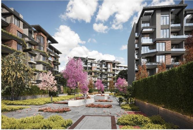 8067354 - Property Image 2