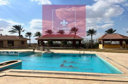 Farm - Studio for sale in Ofok - Cairo Alexandria Desert Road - 6 October City - Giza