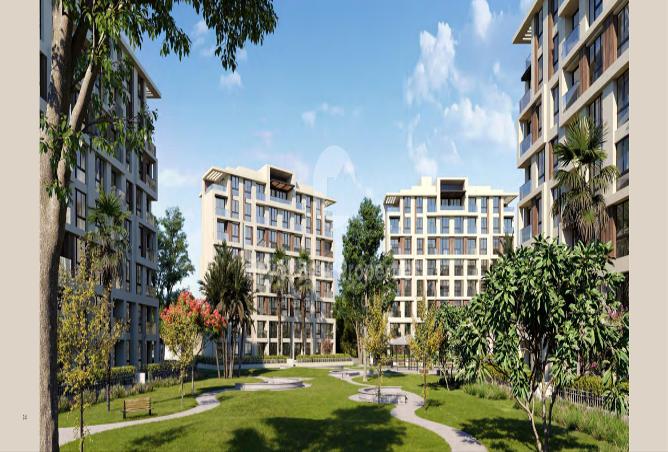 7996804 - Property Image 2