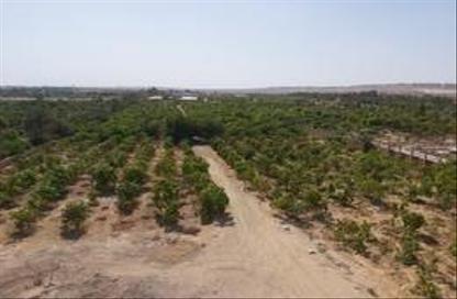 Land - Studio for sale in Gamaiet Ahmed Orabi - Obour City - Qalyubia