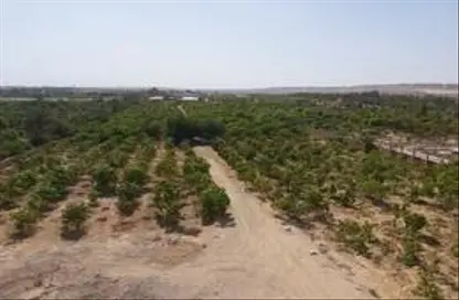 قطعة أرض - استوديو للبيع في جمعية احمد عرابى - مدينة العبور - القليوبية