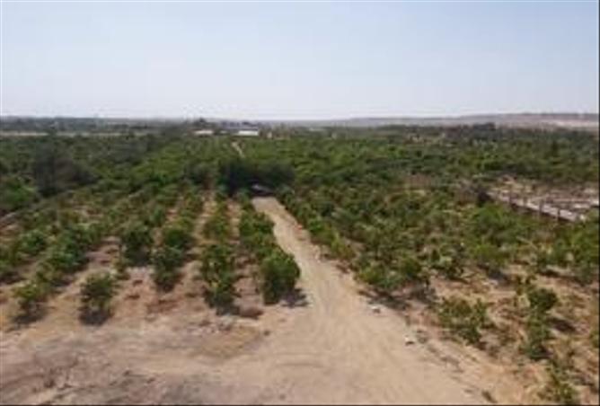 7135764 - Property Main Image