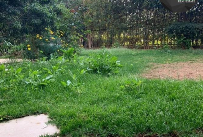 7546964 - Property Image 3