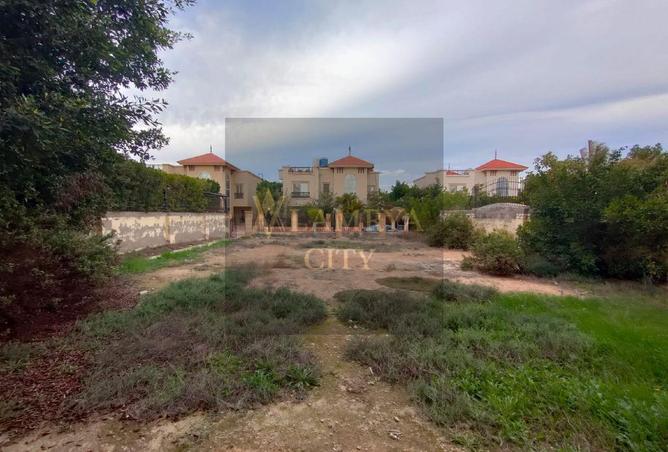 8557644 - Property Image 3