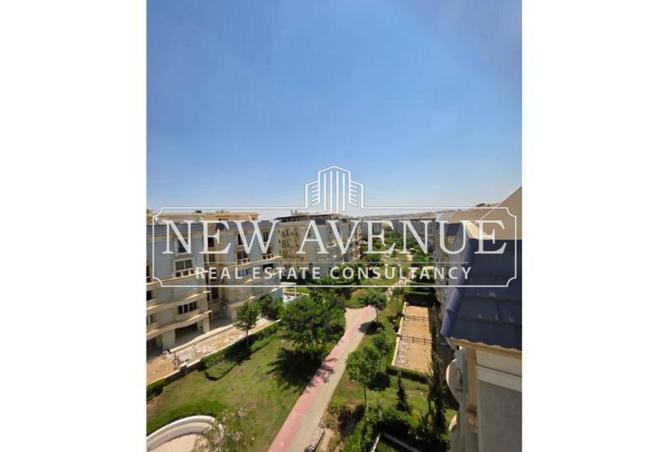 8219768 - Property Image 3