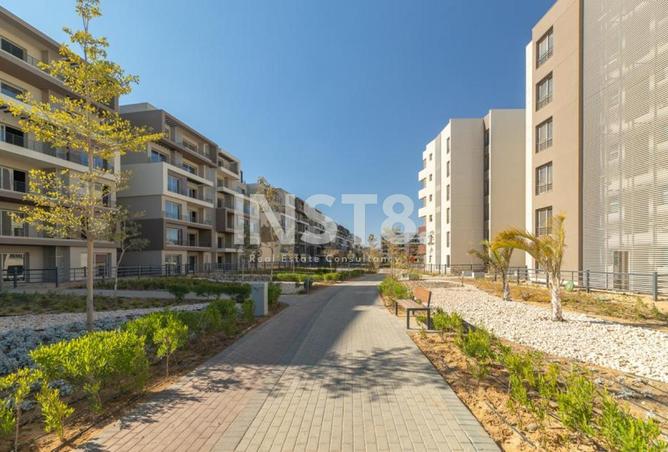 8193922 - Property Image 2