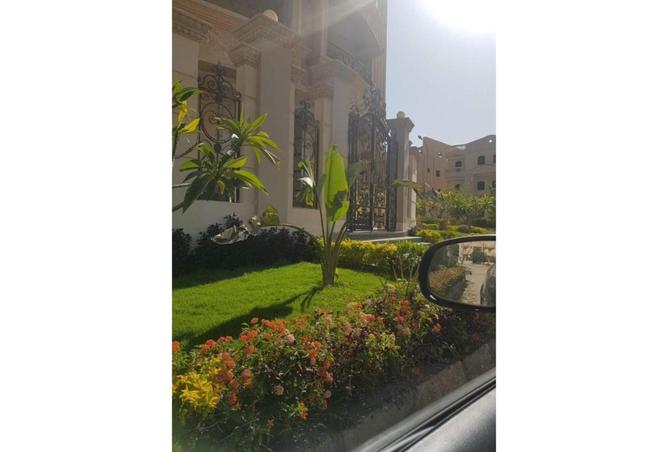 7990681 - صورة العقار 2