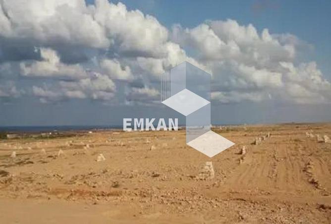 8516710 - صورة العقار 2