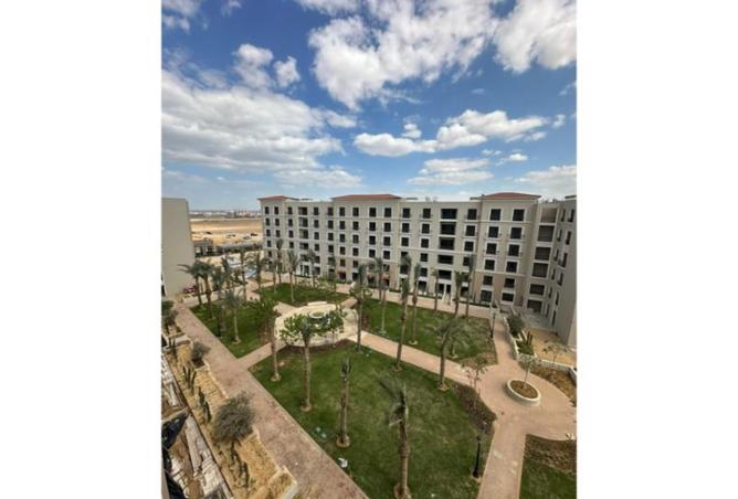 8267774 - Property Image 3