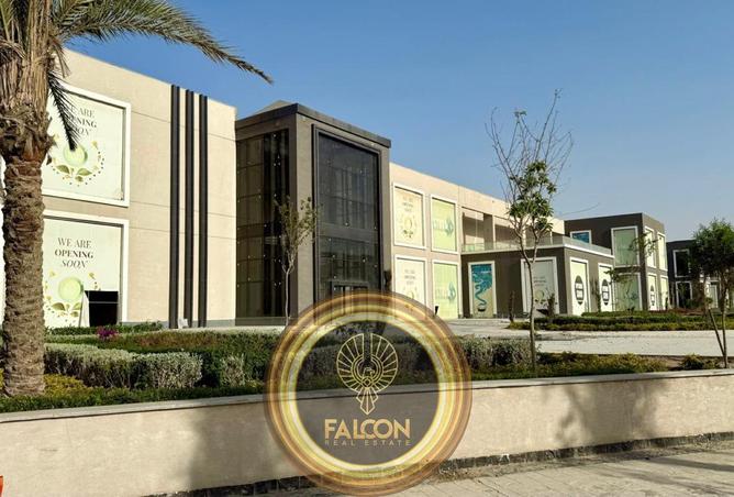 8455067 - Property Image 2