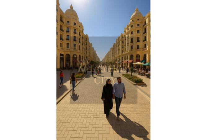8152563 - Property Image 3