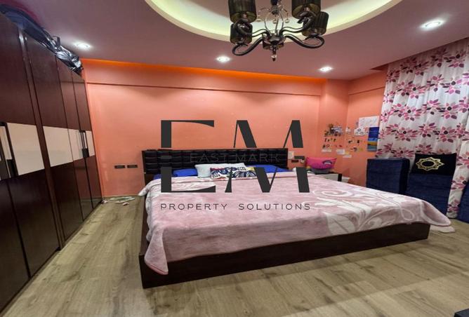 8382797 - Property Image 3