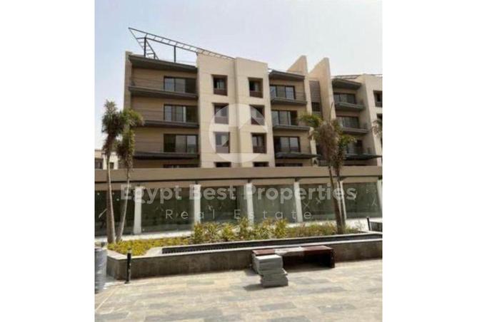 8117800 - Property Image 3