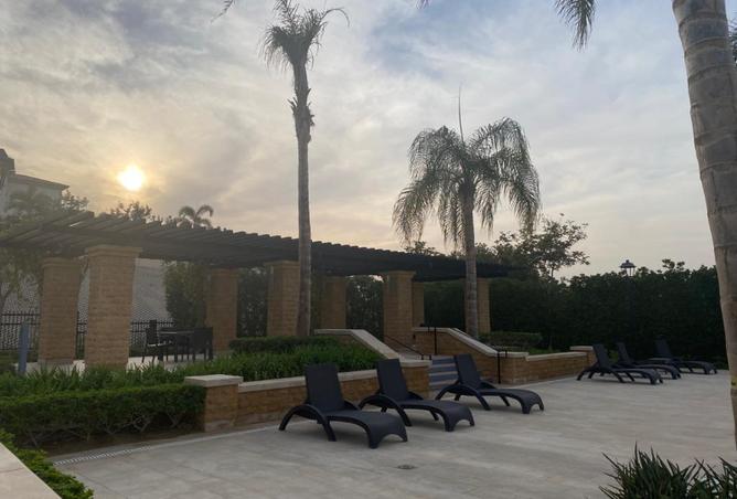 7993869 - Property Image 3
