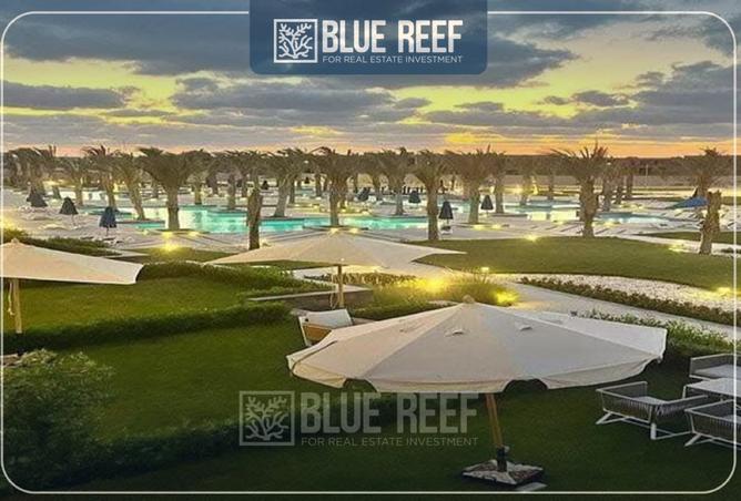 8405564 - Property Image 3