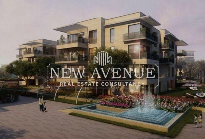 8020859 - Property Image 3