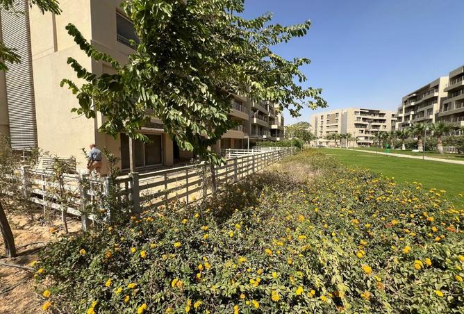 8073372 - Property Image 3