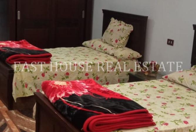 7887254 - Property Image 3