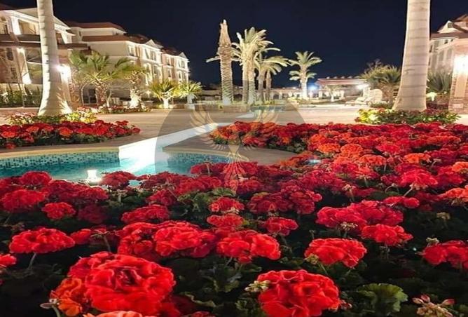 8002742 - صورة العقار 3