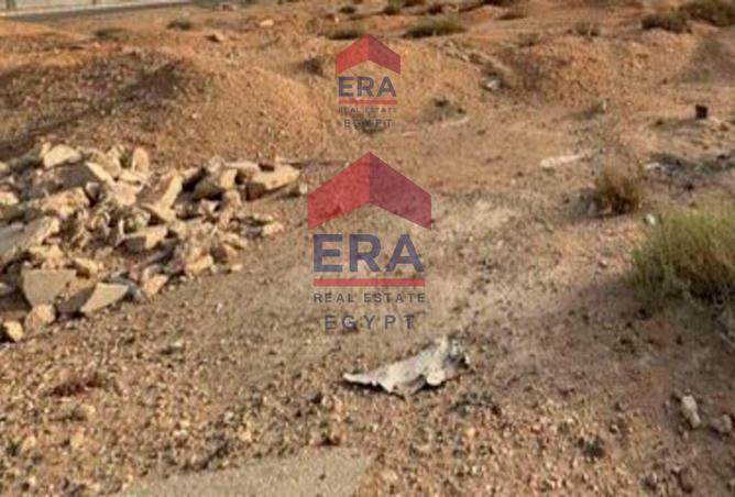 8442115 - Property Image 2