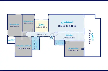 Apartment - 4 Bedrooms - 2 Bathrooms for sale in Mohammad Ngeeb Street - Sidi Beshr - Hay Awal El Montazah - Alexandria