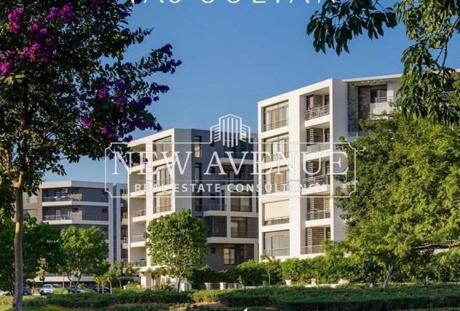 8290631 - Property Image 3