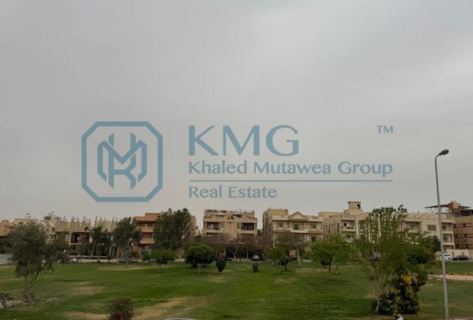 8138235 - Property Image 3