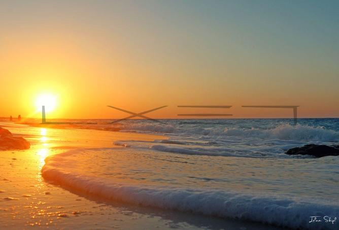 8363298 - Property Image 3