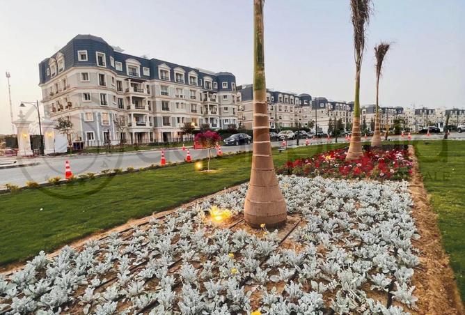 8213948 - صورة العقار 3