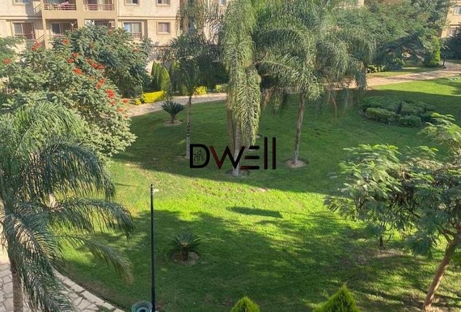 8402171 - Property Image 3