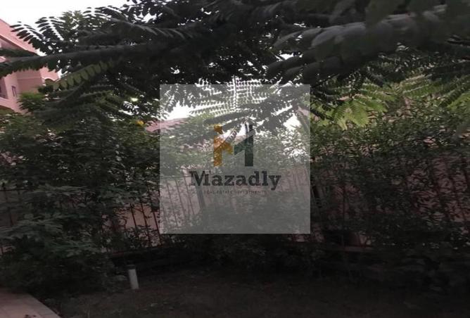 8197939 - صورة العقار 3