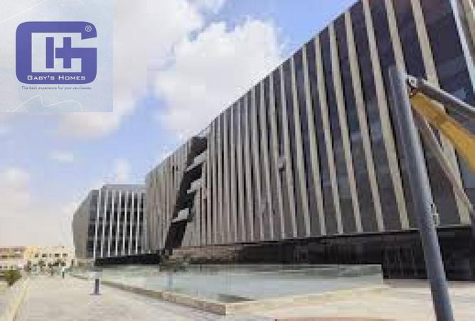 8192878 - صورة العقار 3