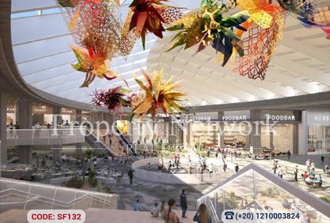 8356796 - Property Image 2