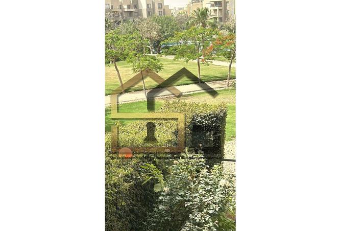 8198915 - Property Image 2