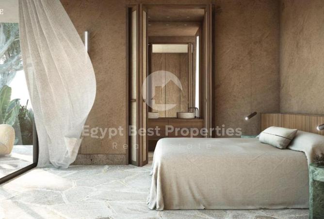 7919377 - Property Image 3