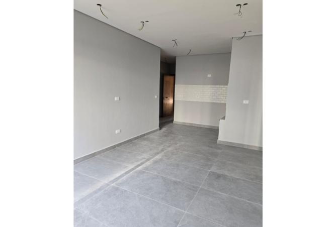 8024162 - Property Image 3