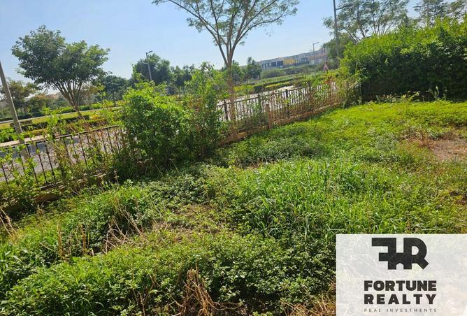 8339911 - Property Image 3