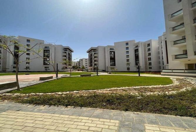 8419129 - Property Image 3