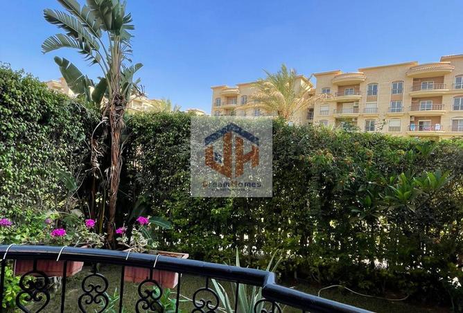 7964431 - صورة العقار 2
