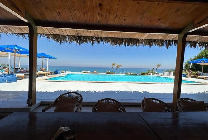 8168687 - صورة العقار 2