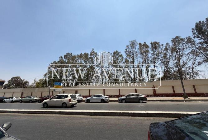 7913913 - الصورة الرئيسية للعقار