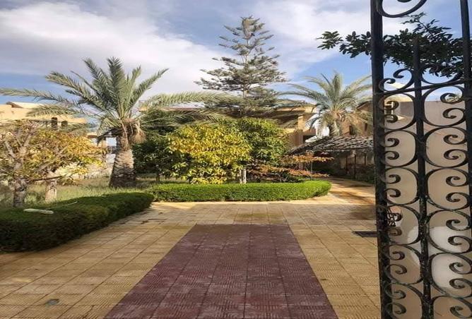 8399053 - Property Image 3