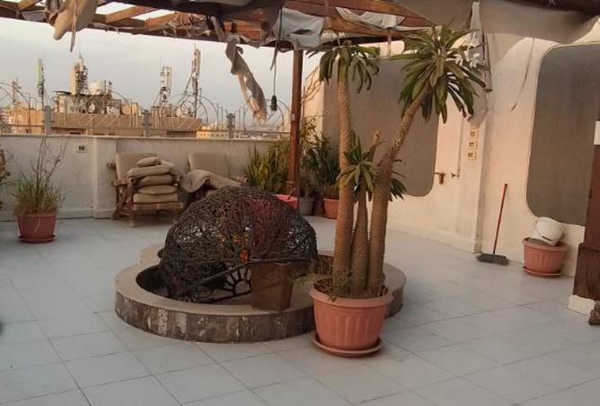 8197767 - Property Image 2