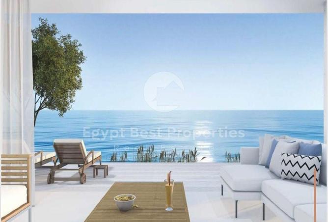 8436466 - Property Image 2