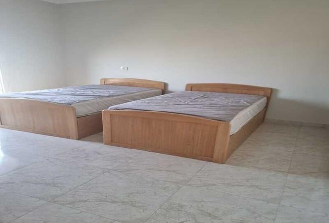 8002619 - Property Image 3