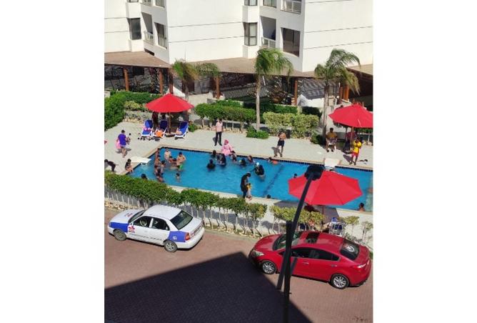 8455309 - Property Image 3