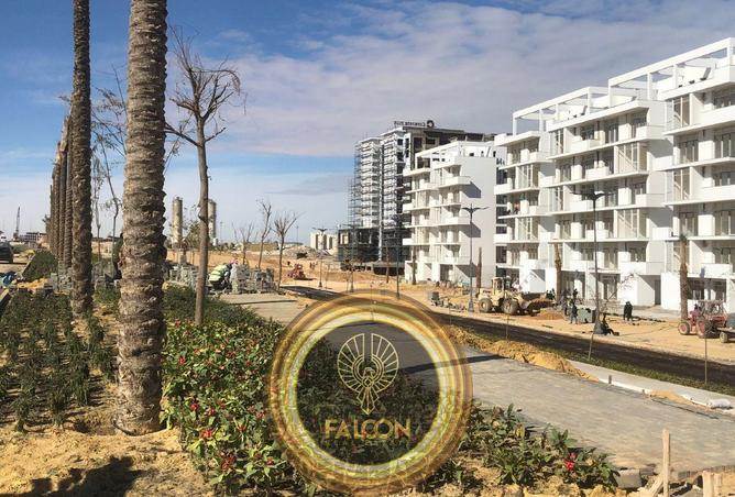 8257769 - Property Image 3