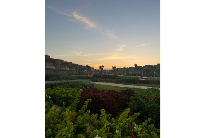 7978618 - صورة العقار 3